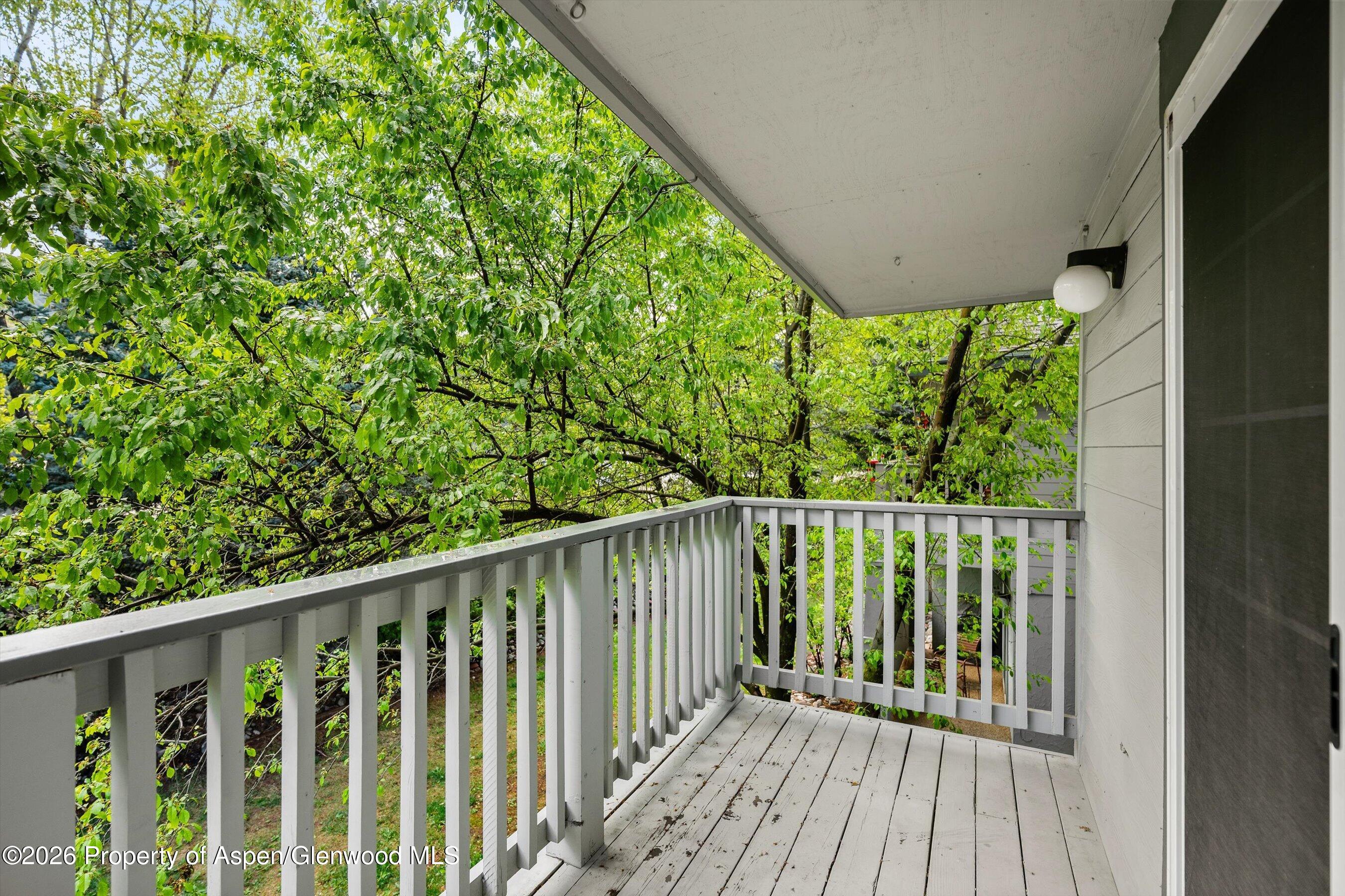 5202 Elk Lane Basalt, CO 81621 - Photo 16 of 22 Back Deck with Privacy