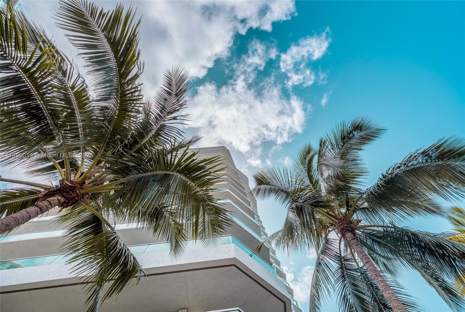 16500 Collins Avenue, Unit 655 Sunny Isles Beach, FL 33160 - Photo 3 of 48 a view of a palm tree with a palm trees