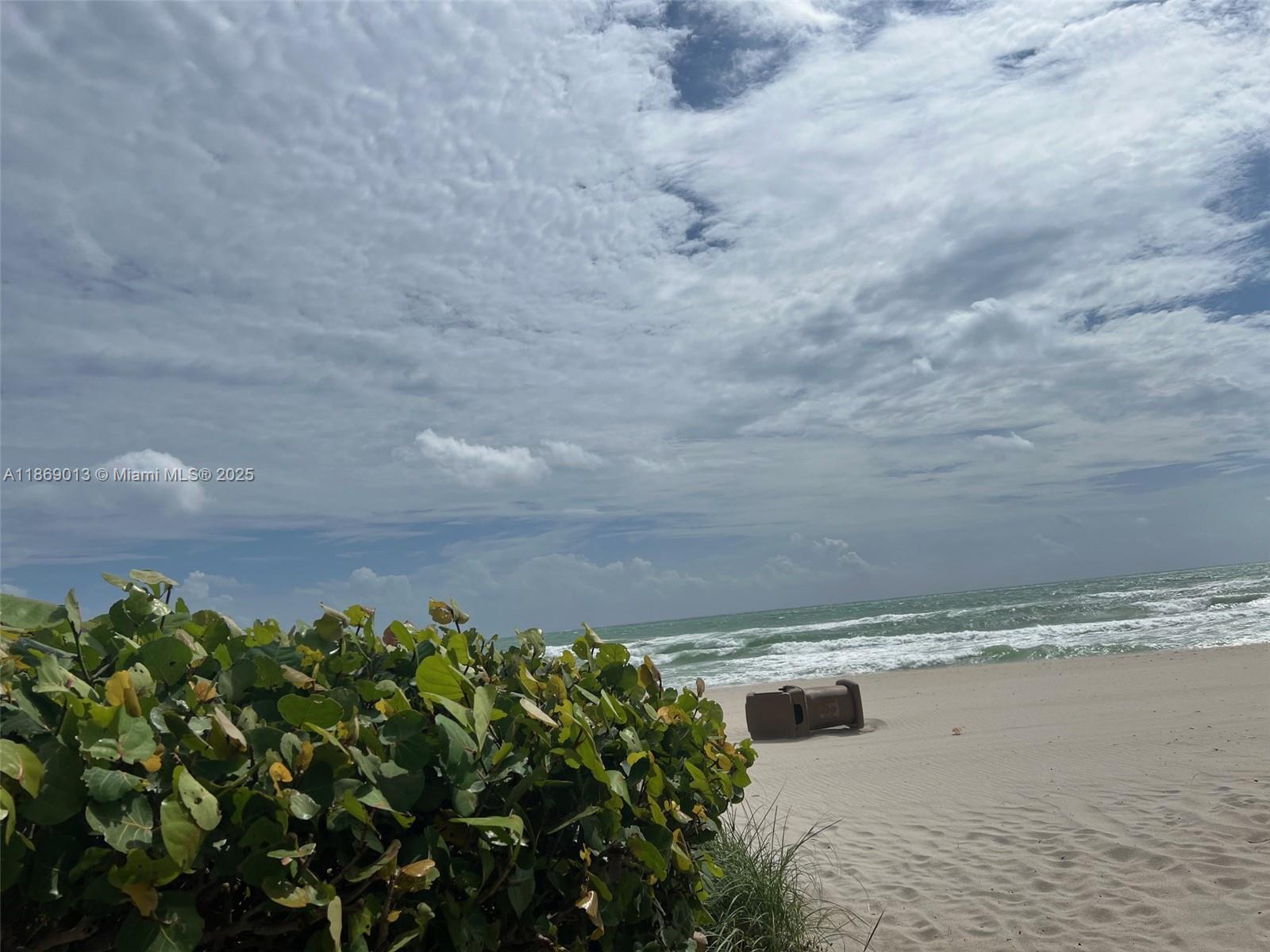 16500 Collins Avenue, Unit 655 Sunny Isles Beach, FL 33160 - Photo 48 of 48 a view of a dry yard with wooden fence
