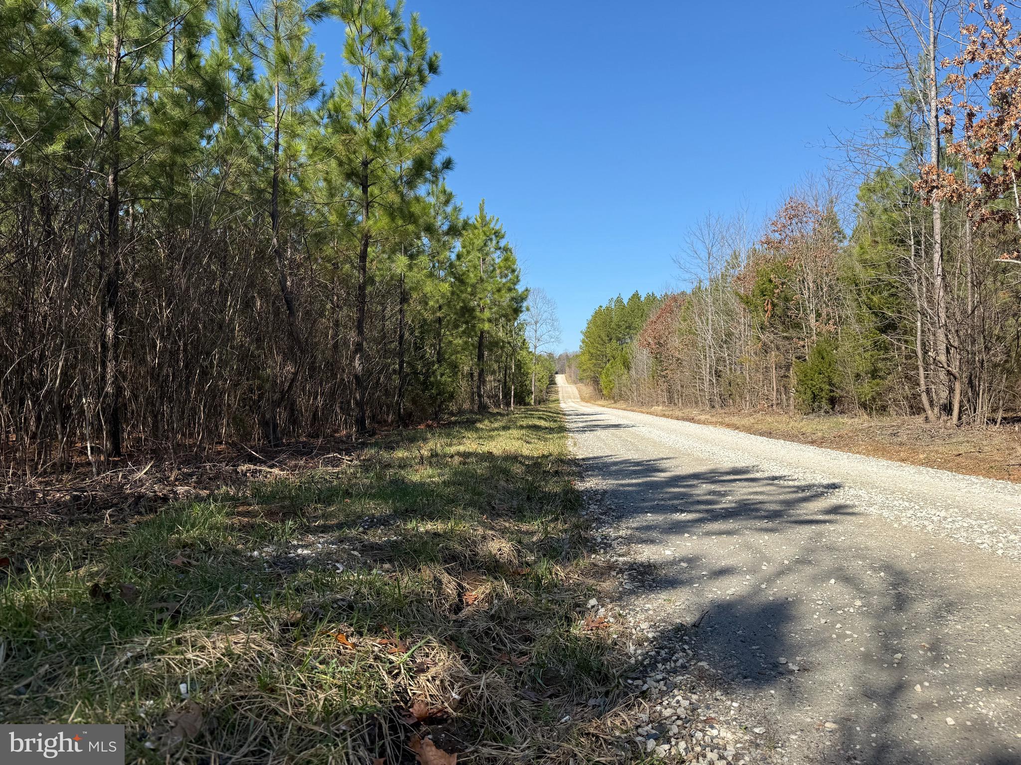 1 Maple Bridge Road Dillwyn, VA 23936 - Photo 18 of 23 Gallery Image 18