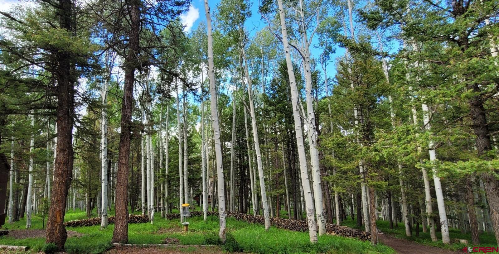 593 Crest Drive Cimarron, CO 81220 - Photo 21 of 30 a view of a yard with plants and trees