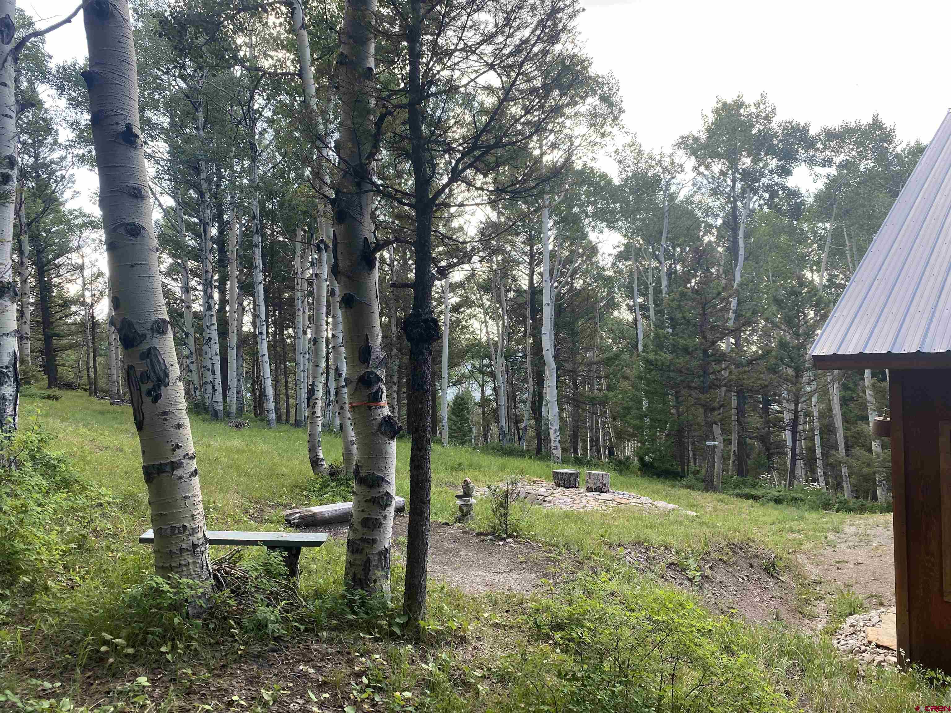593 Crest Drive Cimarron, CO 81220 - Photo 22 of 30 a view of a park that has a tree in it