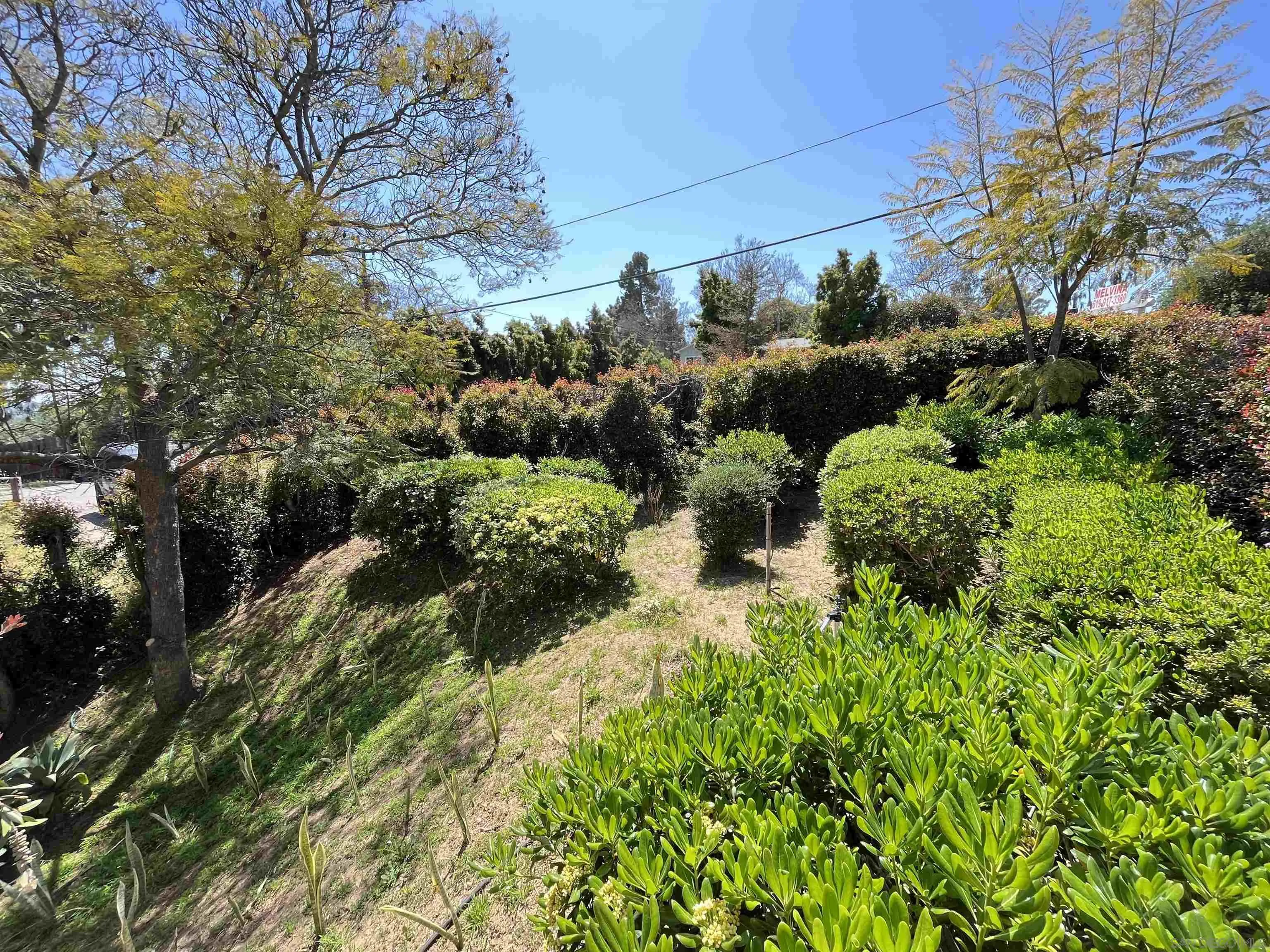 8844 Golf Drive Spring Valley, CA 91977 - Photo 51 of 56 a view of a garden with plants
