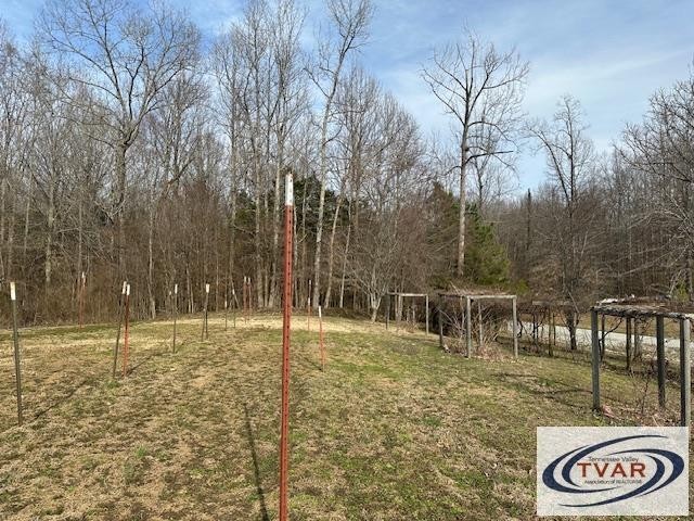 320 South Point Drive Camden, TN 38320 - Photo 27 of 62 a view of outdoor space with trees