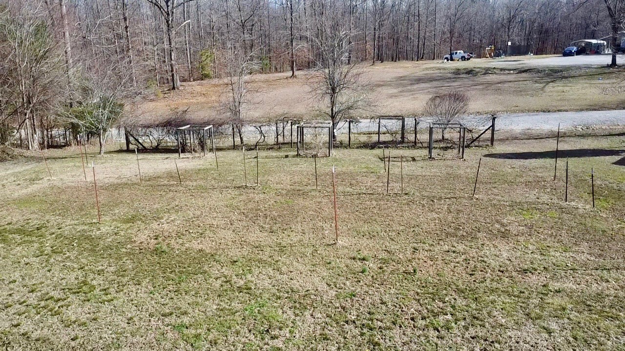 320 South Point Drive Camden, TN 38320 - Photo 43 of 62 a view of a yard with wooden fence