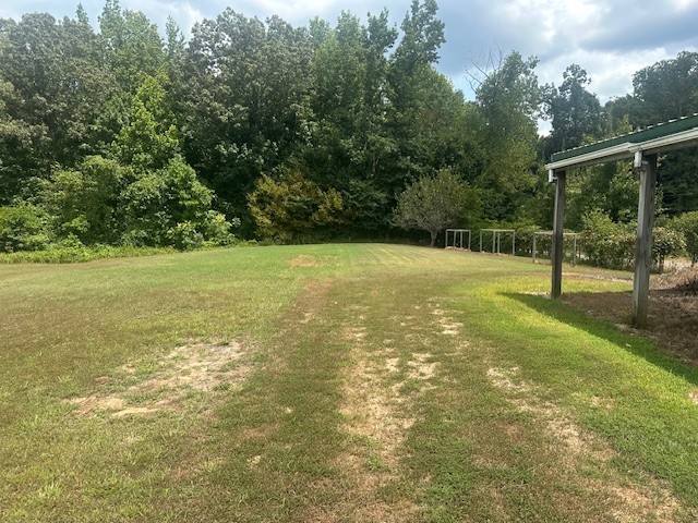 320 South Point Drive Camden, TN 38320 - Photo 52 of 62 a view of a field with a tree