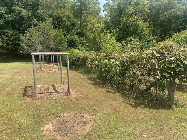 320 South Point Drive Camden, TN 38320 - Photo 54 of 62 a view of a backyard of the house