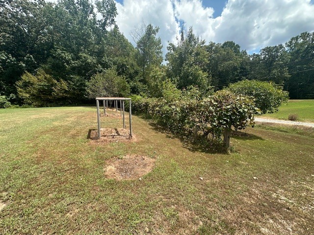 320 South Point Drive Camden, TN 38320 - Photo 55 of 62 a view of a yard with trees