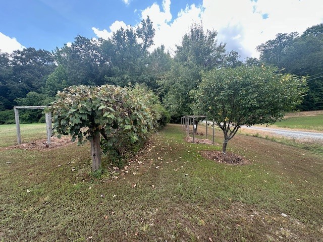 320 South Point Drive Camden, TN 38320 - Photo 57 of 62 a view of a yard with a tree