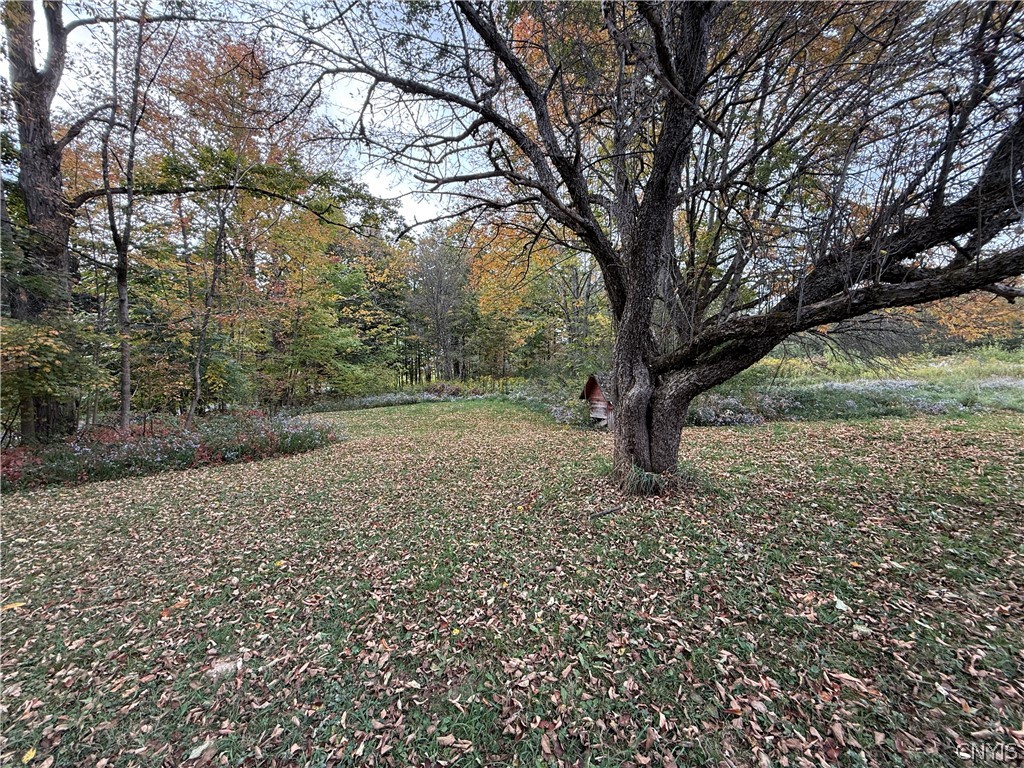 11033 Francis Road Remsen, NY 13438 - Photo 10 of 32