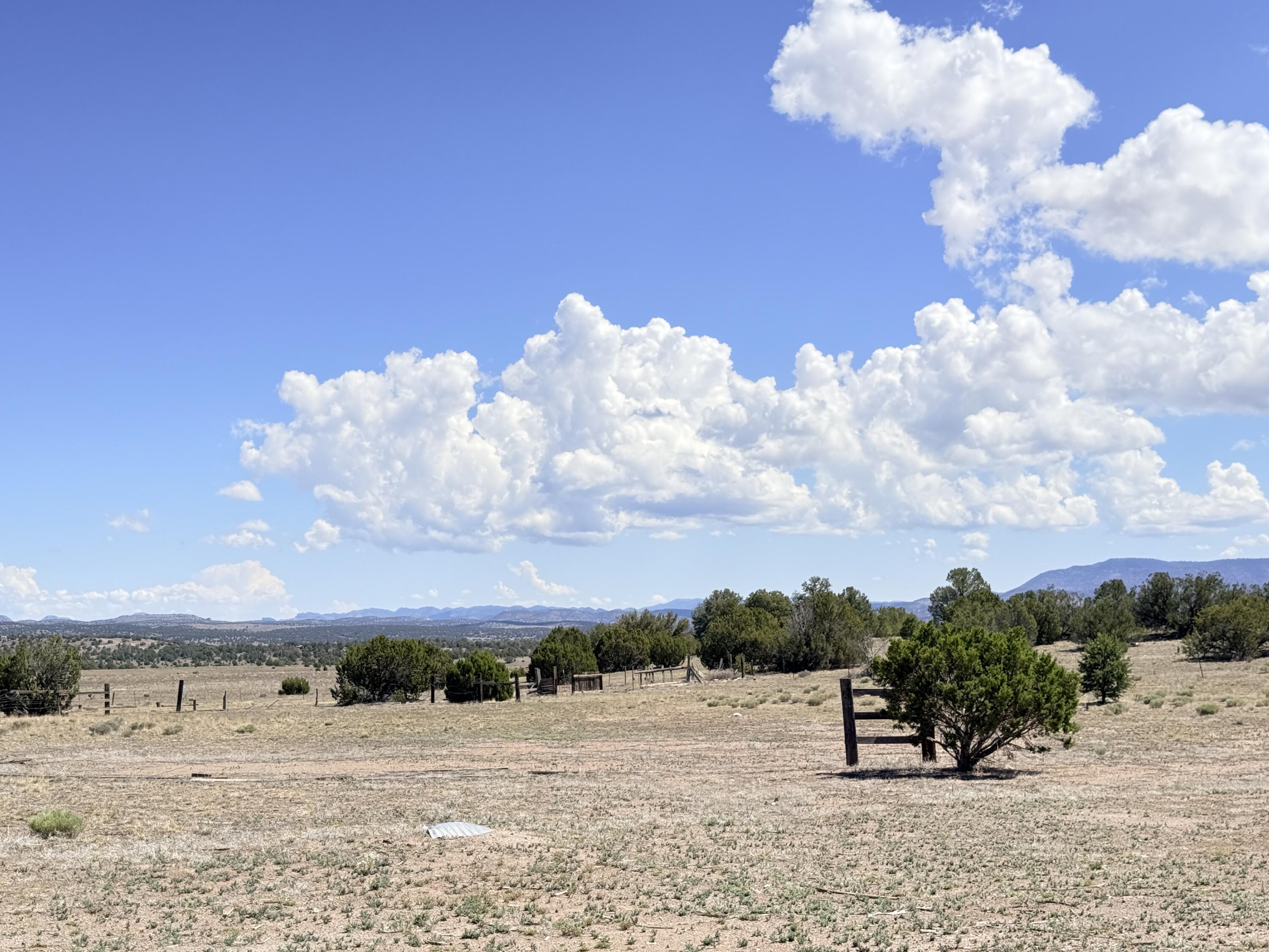 39 High Plns Drive Datil, NM 87821 - Photo 18 of 41 Gallery Image 18