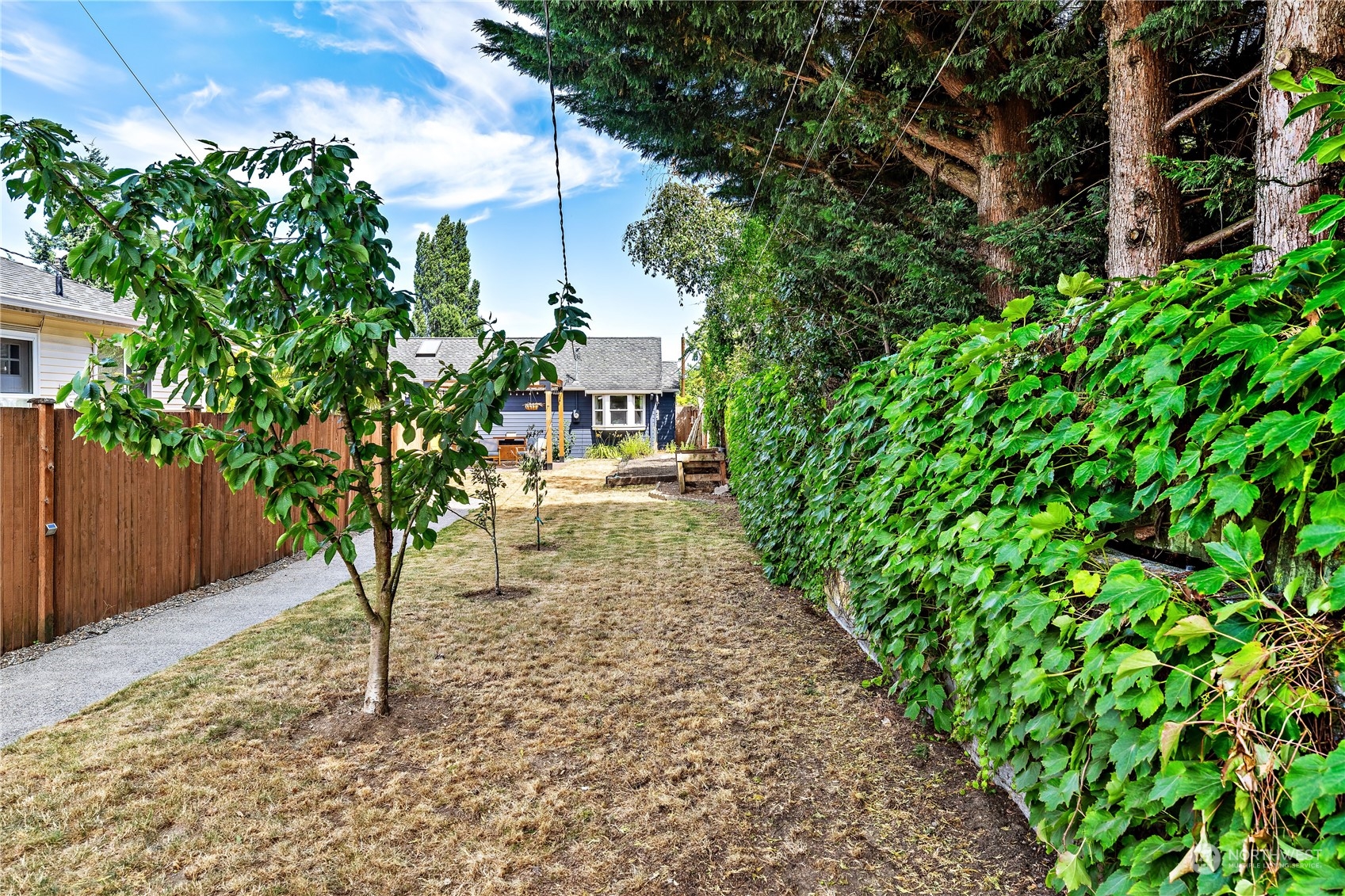 9012 7th Avenue Northwest Seattle, WA 98117 - Photo 33 of 36 a view of a yard with plants