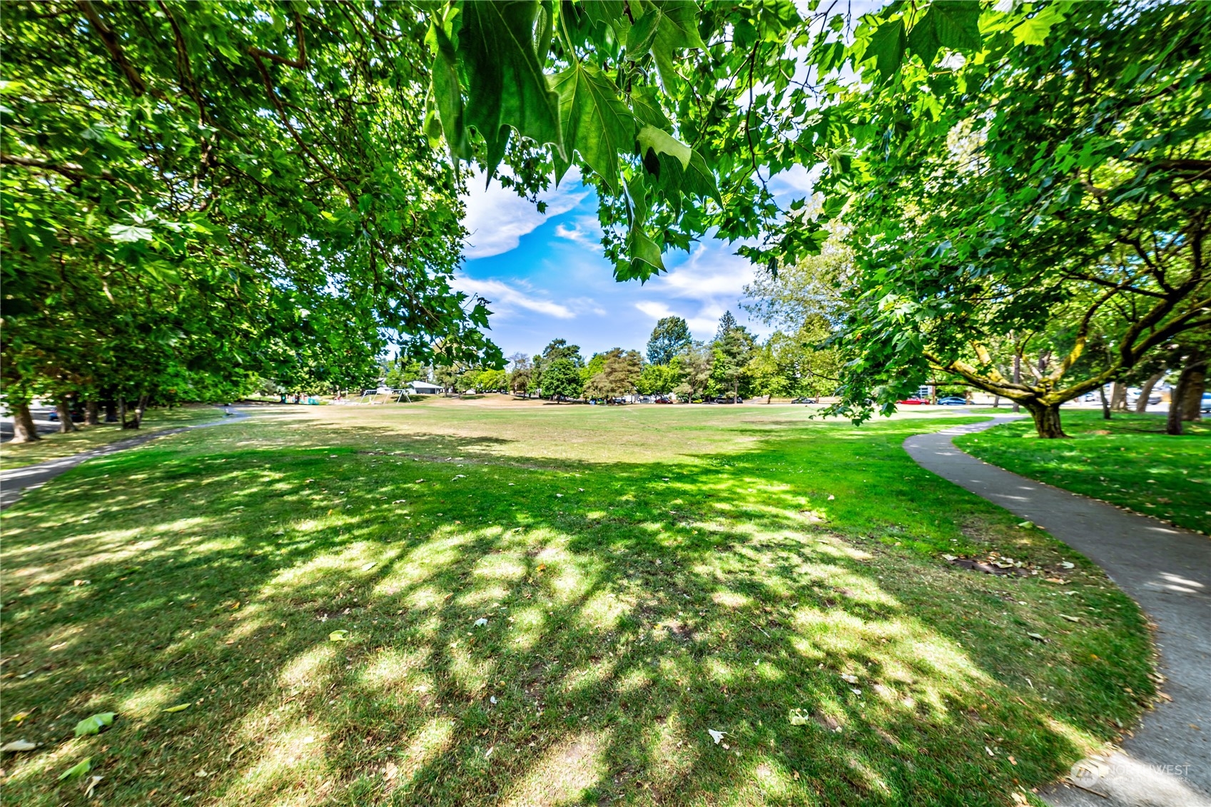 9012 7th Avenue Northwest Seattle, WA 98117 - Photo 36 of 36 a view of a big yard with plants and large trees
