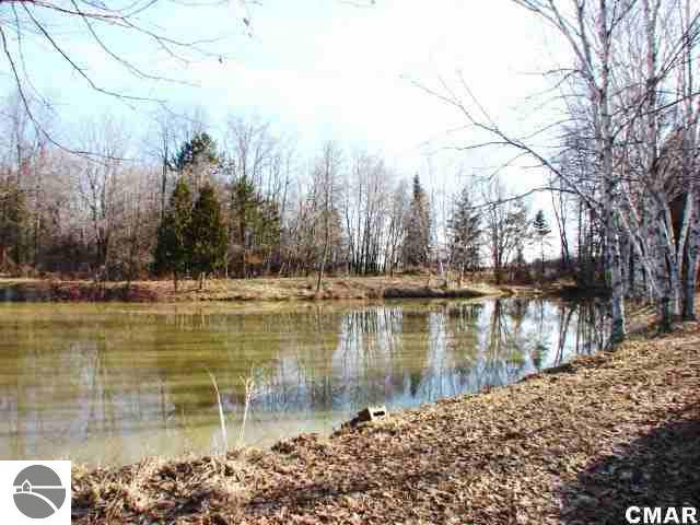 8920 South Alger Road Perrinton, MI 48871 - Photo 9 of 25 1773655-8.JPG