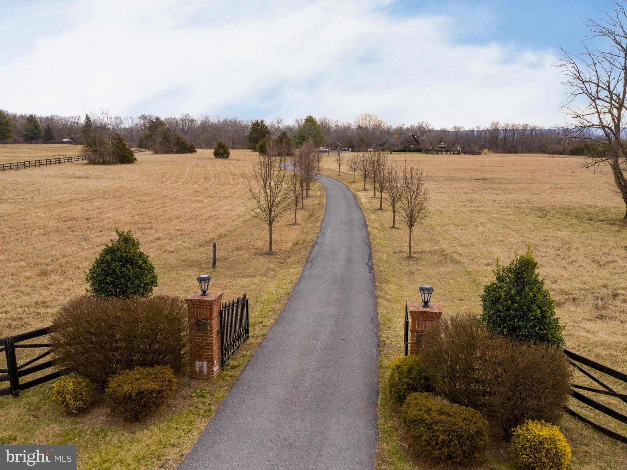 2327 Gun Barrel Road White Post, VA 22663 - Photo 3 of 69 Gated Entrance lined with Pear Trees