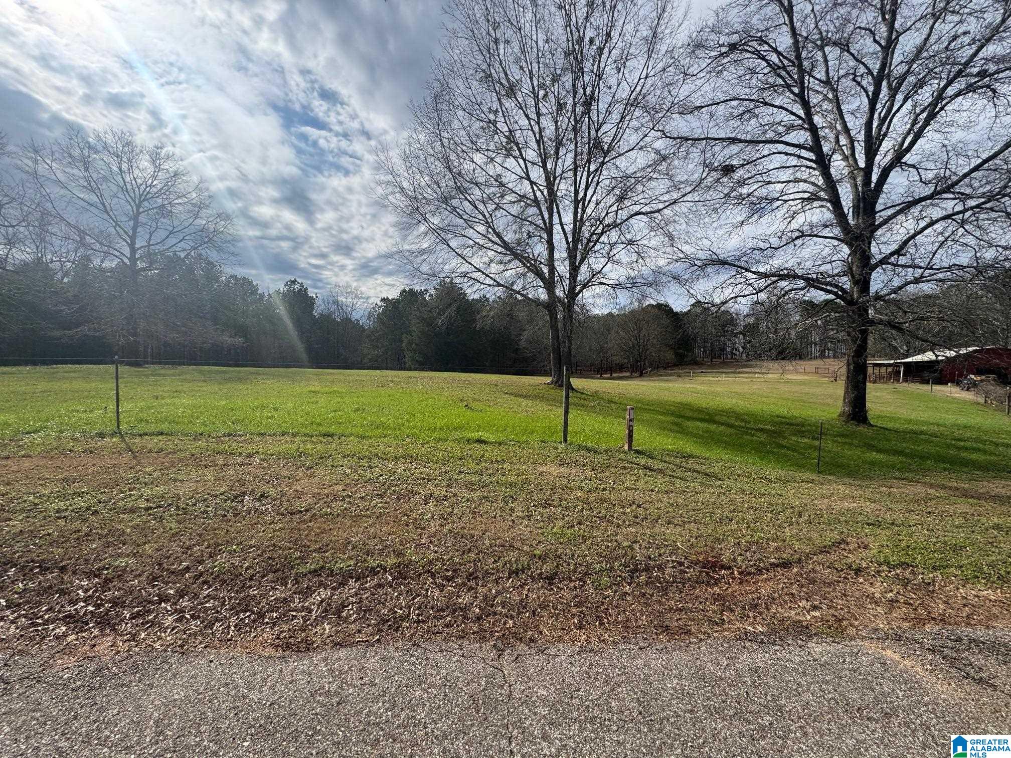 3953 Logan Martin Dam Road Cropwell, AL 35054 - Photo 72 of 99