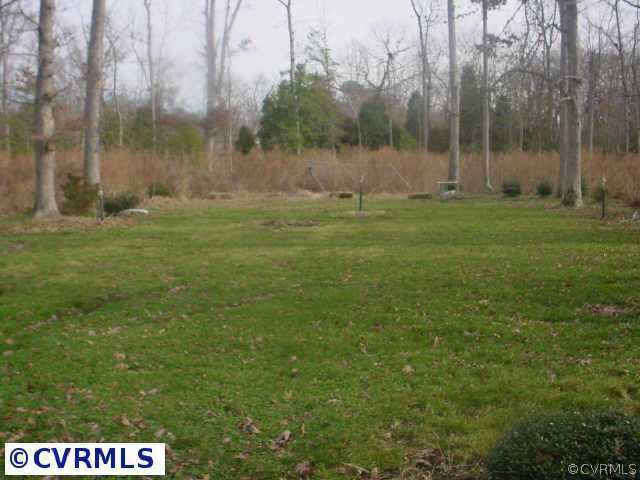 7801 Gold Acres Farm Road Prince George, VA 23875 - Photo 5 of 7 Other - Rear Yard