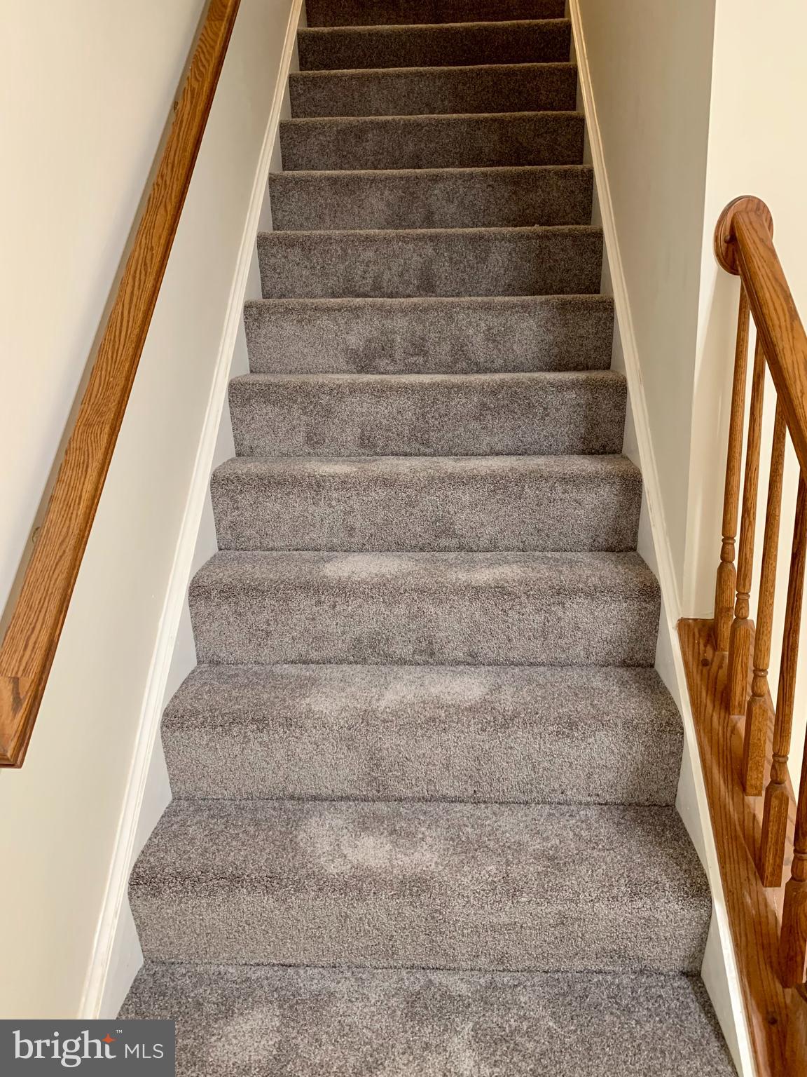 916 Persimmon Place Culpeper, VA 22701 - Photo 13 of 23