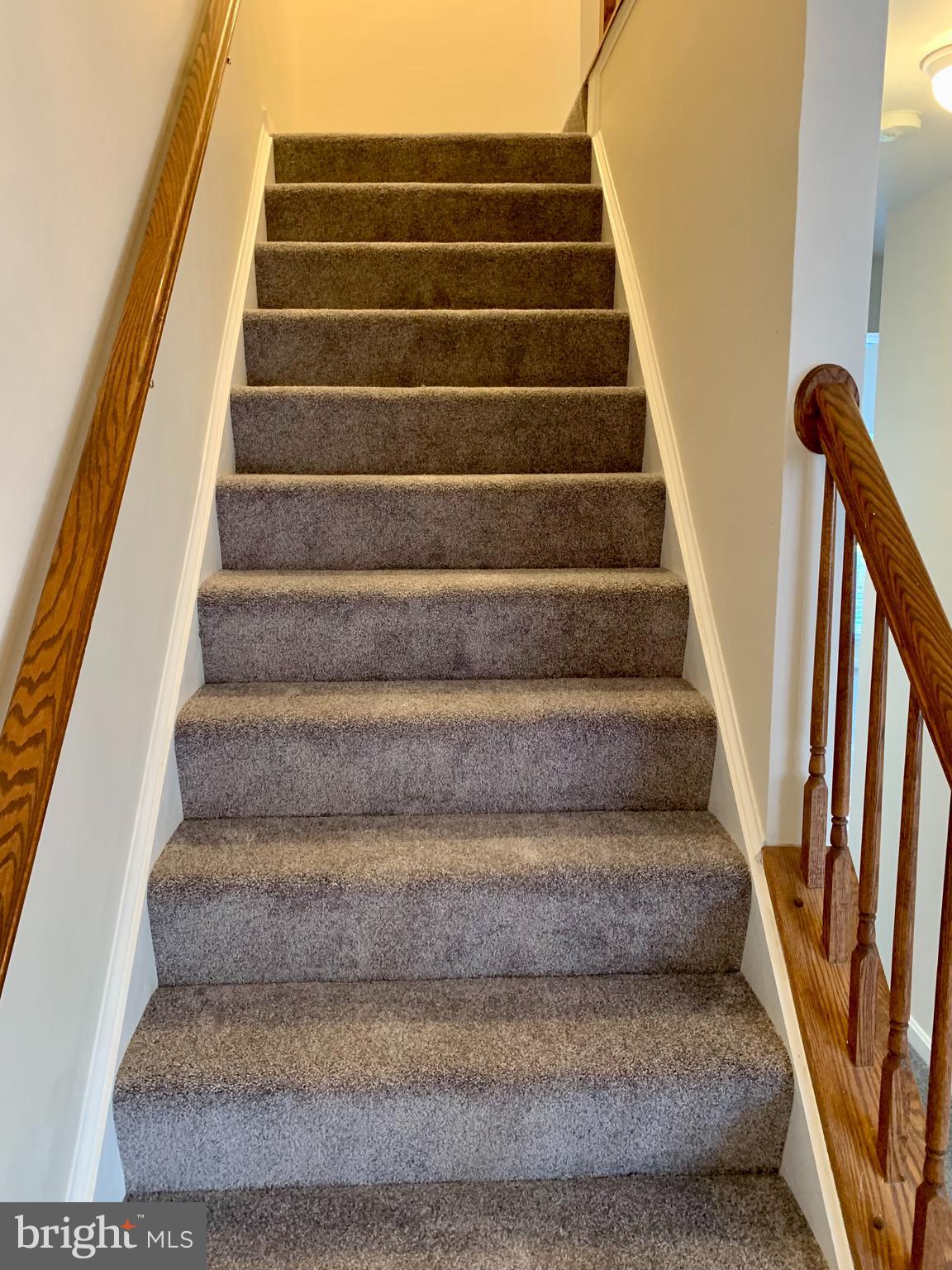 916 Persimmon Place Culpeper, VA 22701 - Photo 22 of 23