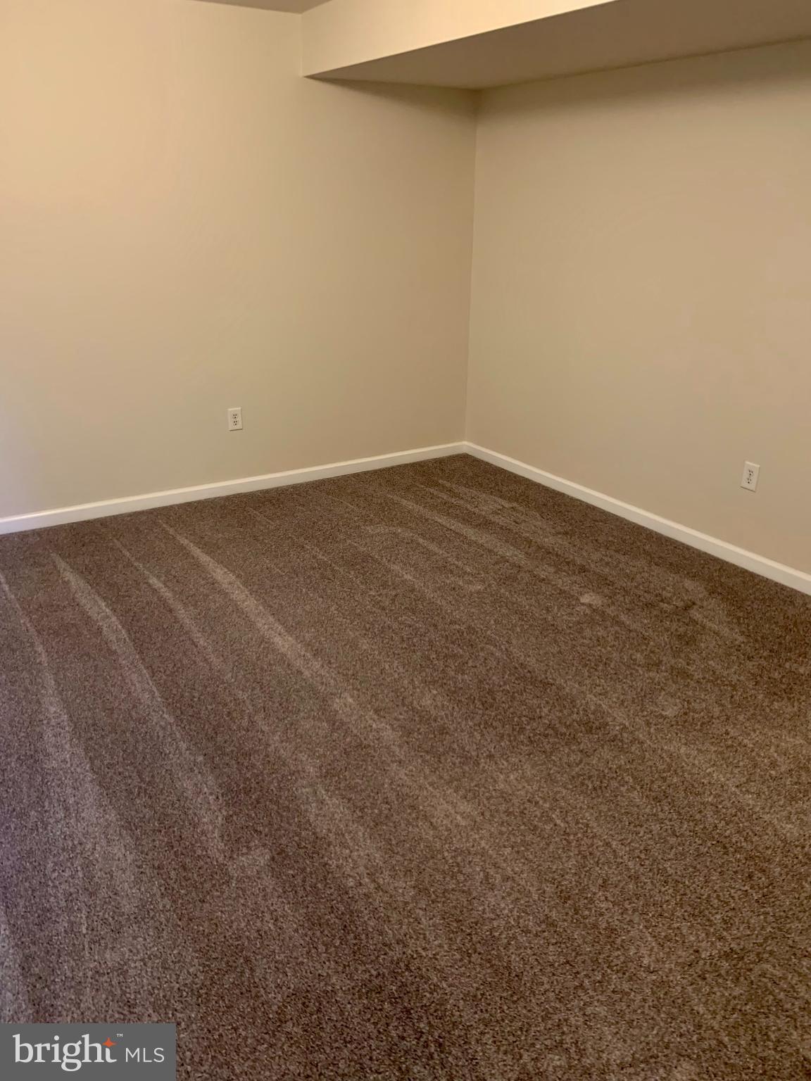 916 Persimmon Place Culpeper, VA 22701 - Photo 6 of 23 Basement rec room