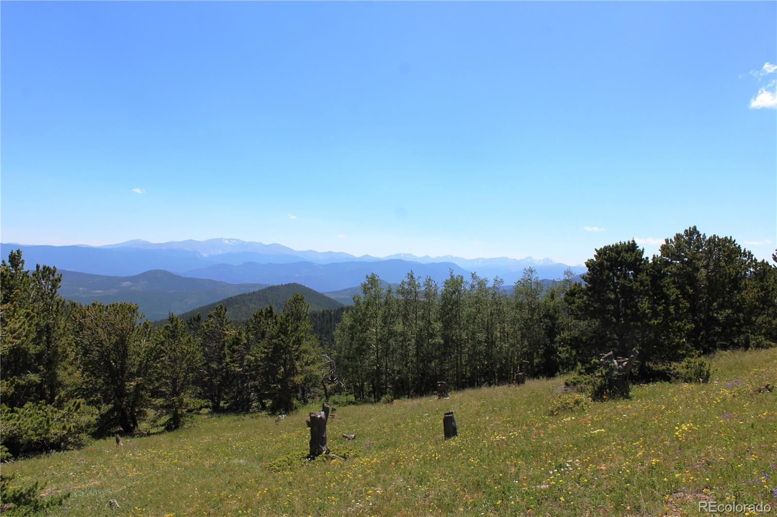 1595 Missouri Gulch Road Black Hawk, CO 80422 - Photo 39 of 49