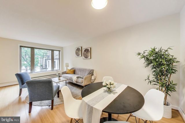 a living room with furniture potted plant and a window