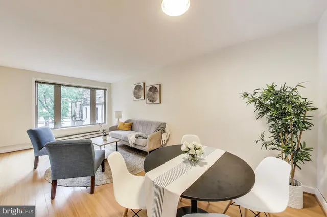 a living room with furniture potted plant and a window