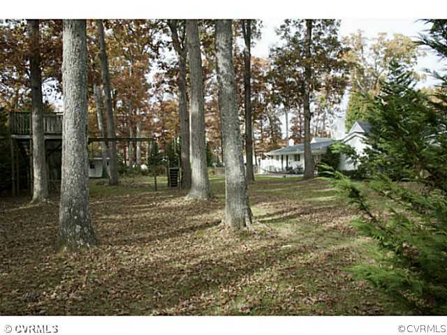 2350 Winterfield Road Midlothian, VA 23113 - Photo 9 of 13 a backyard of a house with lots of green space