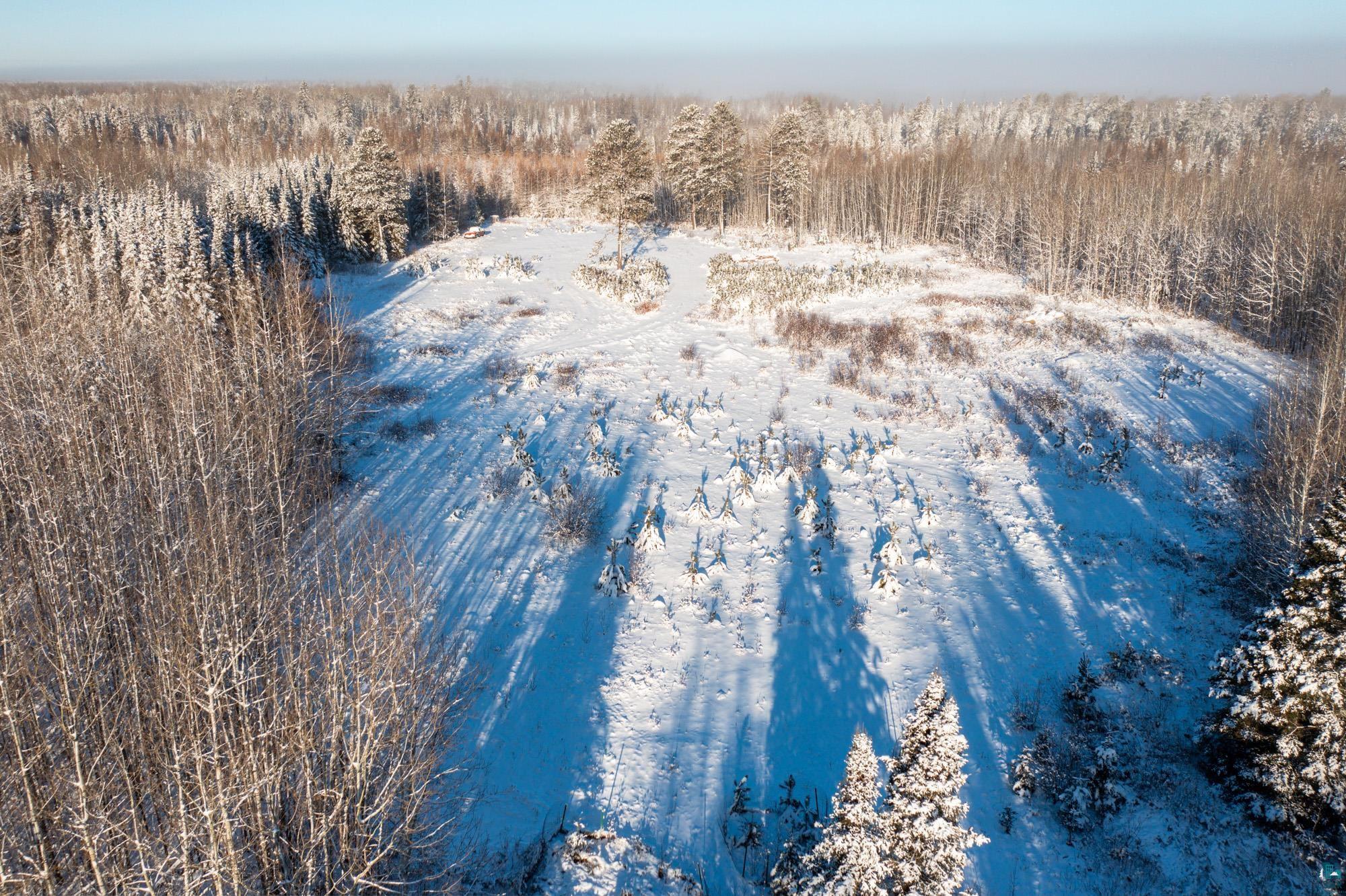 Tbd Stockland Road Virginia, MN 55792 - Photo 13 of 18