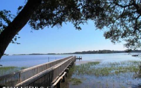 96283 Freeman Road Yulee, FL 32097 - Photo 3 of 17 a view of a lake with houses in the back