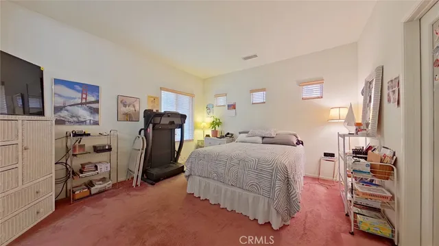 a bedroom with furniture and a walk in closet