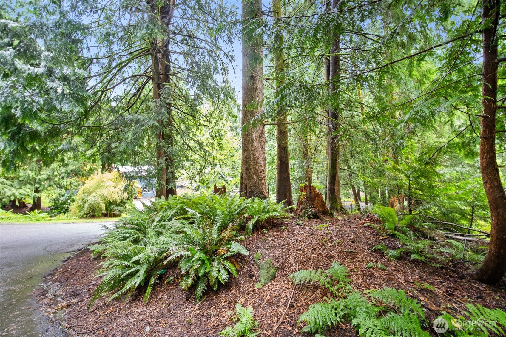 0 Summerset Way Sedro-Woolley, WA 98284 - Photo 8 of 19