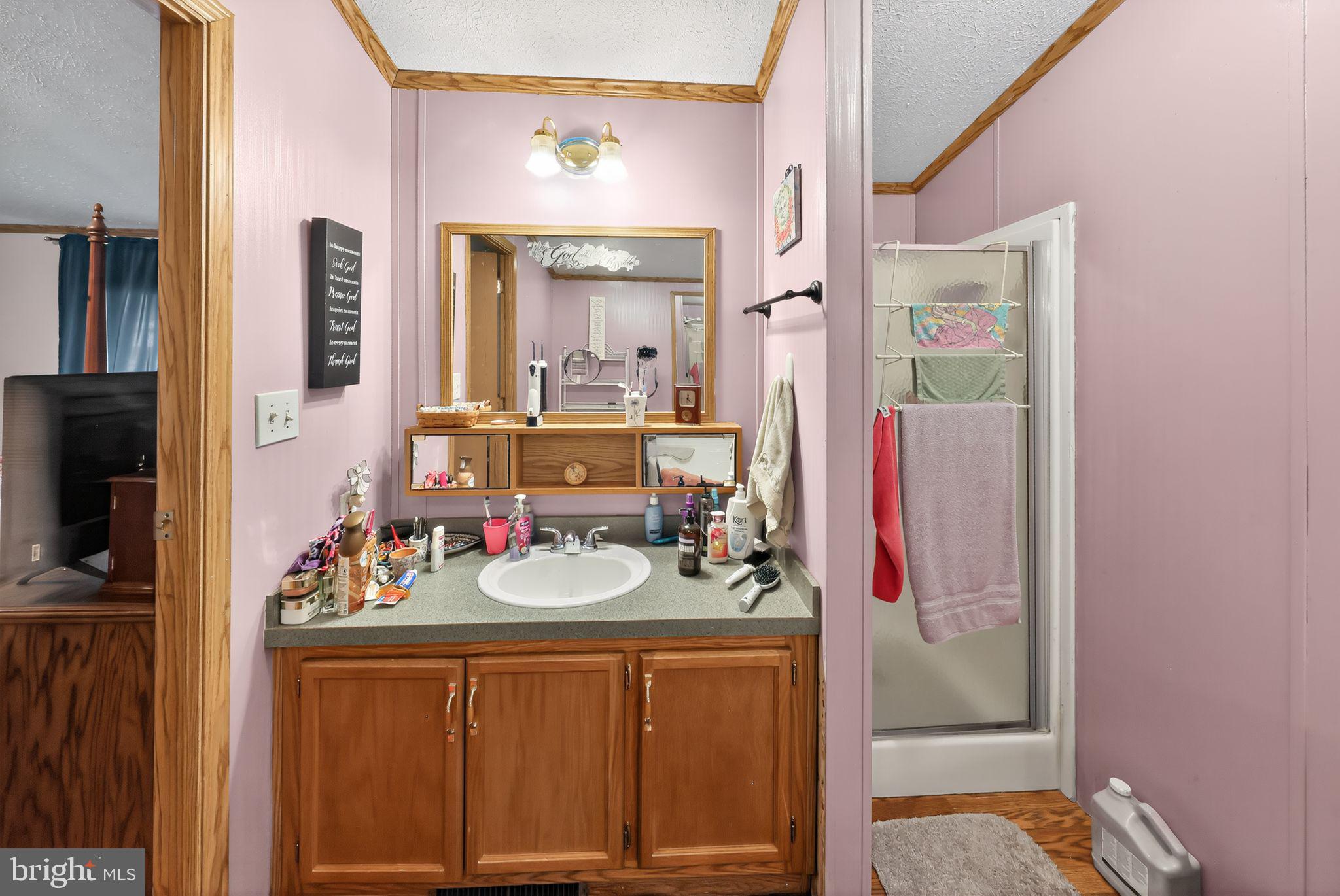 8 Penney Lane Coatesville, PA 19320 - Photo 12 of 14 a en suite bathroom with a sink vanity and mirror