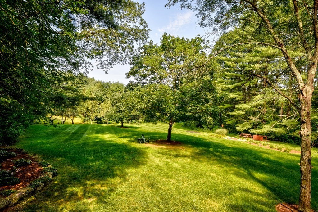 289 Dutton Road Sudbury, MA 01776 - Photo 4 of 32
