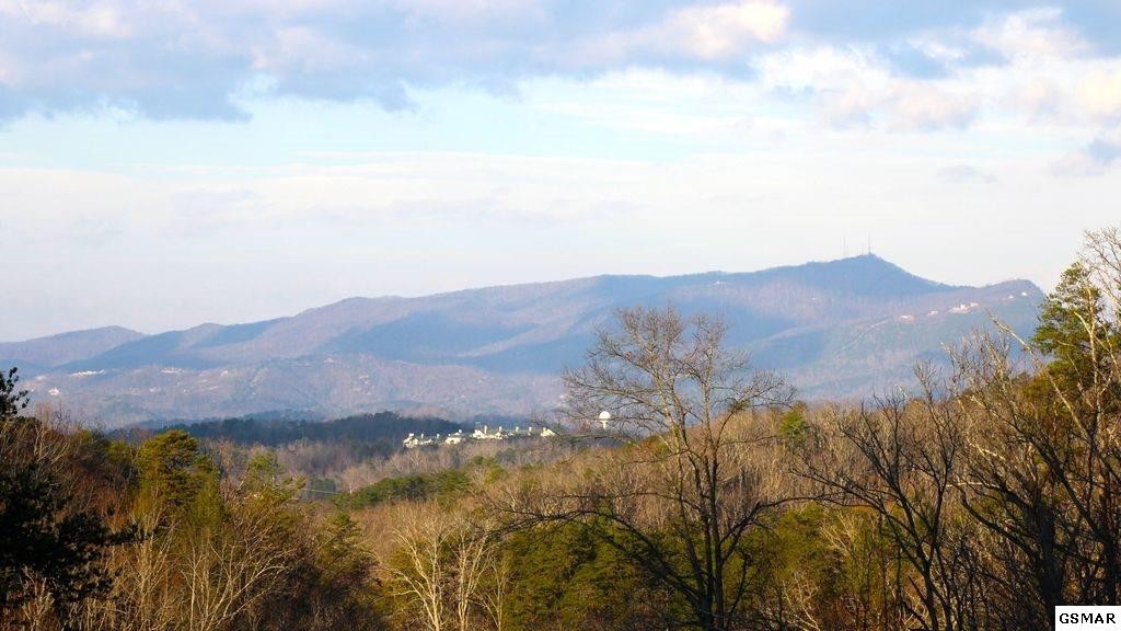1620 Pinewood Way Sevierville, TN 37862 - Photo 18 of 29