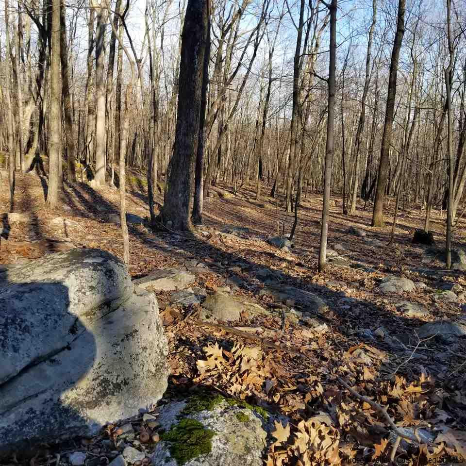 Tbd Tbd Cox Road Pine Bush, NY 12566 - Photo 1 of 10 Photo 1