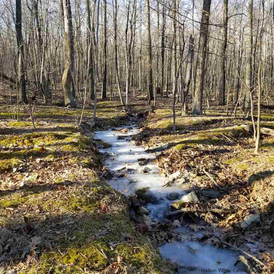 Tbd Tbd Cox Road Pine Bush, NY 12566 - Photo 4 of 10 Photo 4