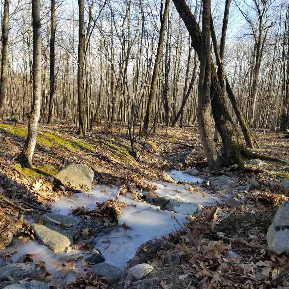 Tbd Tbd Cox Road Pine Bush, NY 12566 - Photo 5 of 10 Photo 5