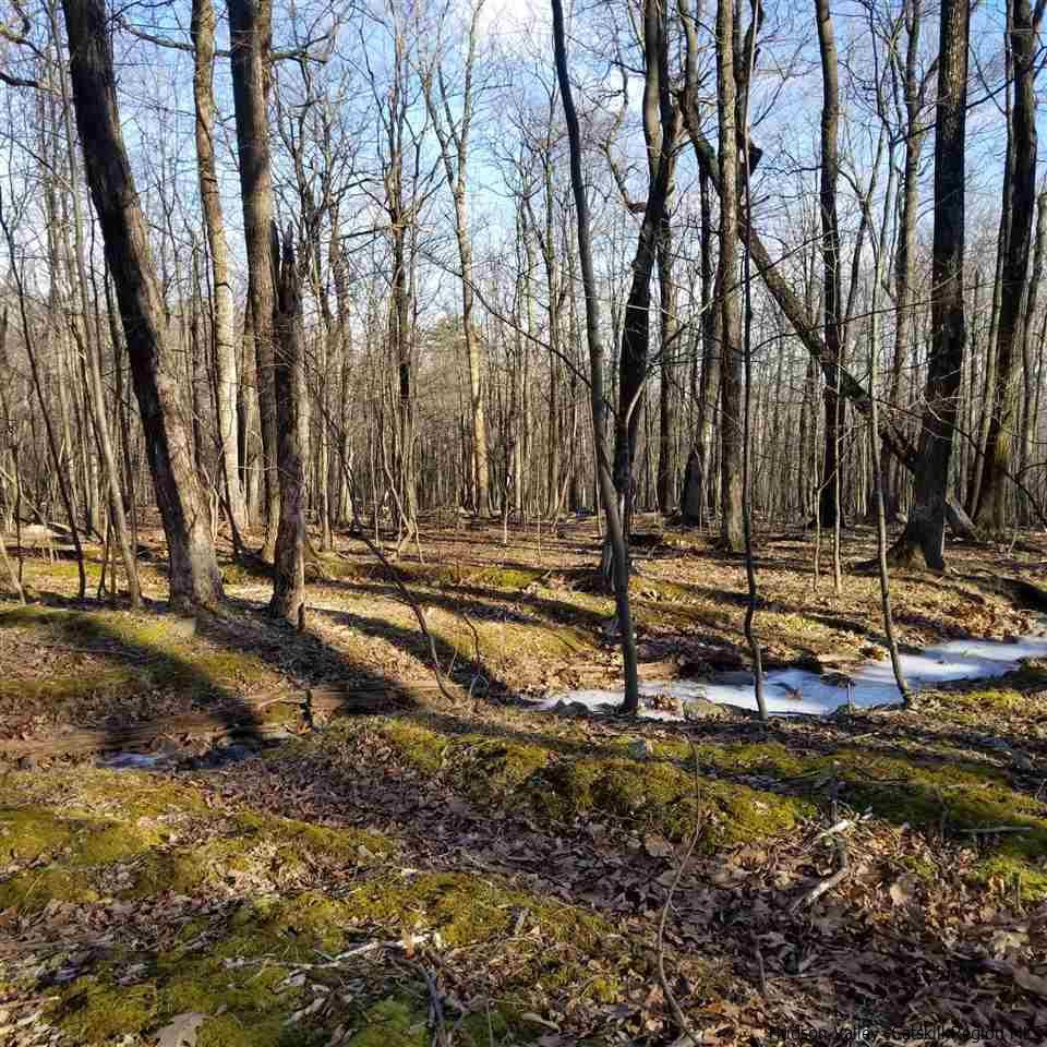 Tbd Tbd Cox Road Pine Bush, NY 12566 - Photo 6 of 10 Photo 6
