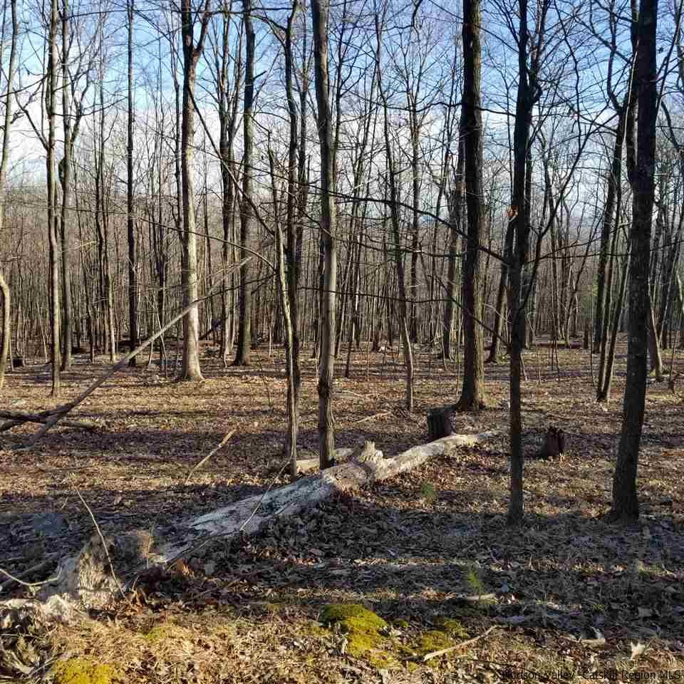 Tbd Tbd Cox Road Pine Bush, NY 12566 - Photo 7 of 10 Photo 7