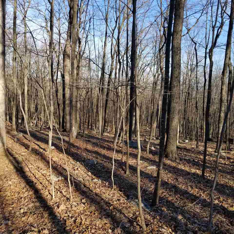 Tbd Tbd Cox Road Pine Bush, NY 12566 - Photo 8 of 10 Photo 8