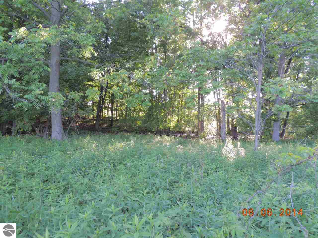 3070 South Warner Road Middleton, MI 48856 - Photo 13 of 36 1785781-12.JPG
