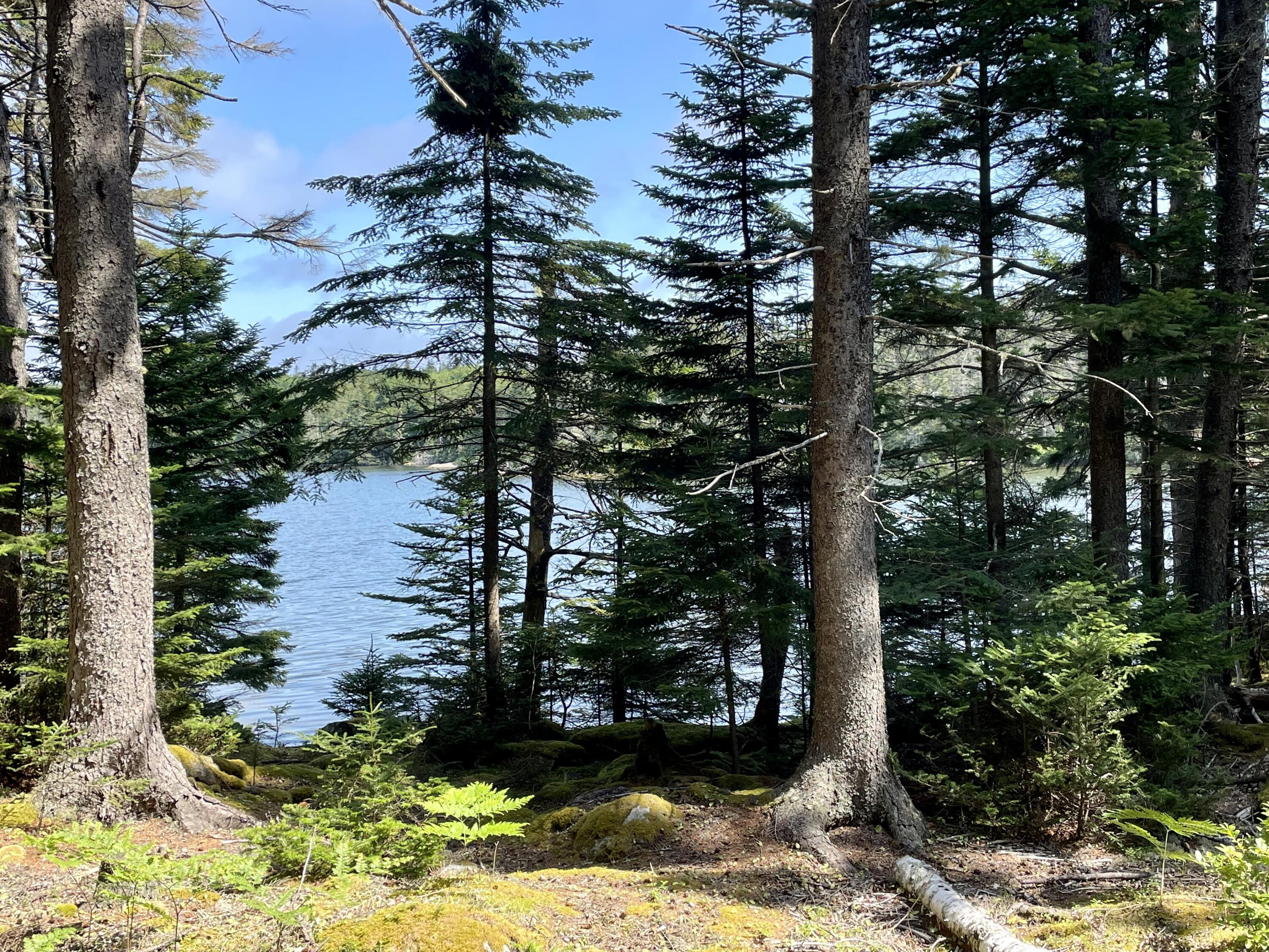 A Old Harbor Road Vinalhaven, ME 04863 - Photo 4 of 12 Old Harbor
