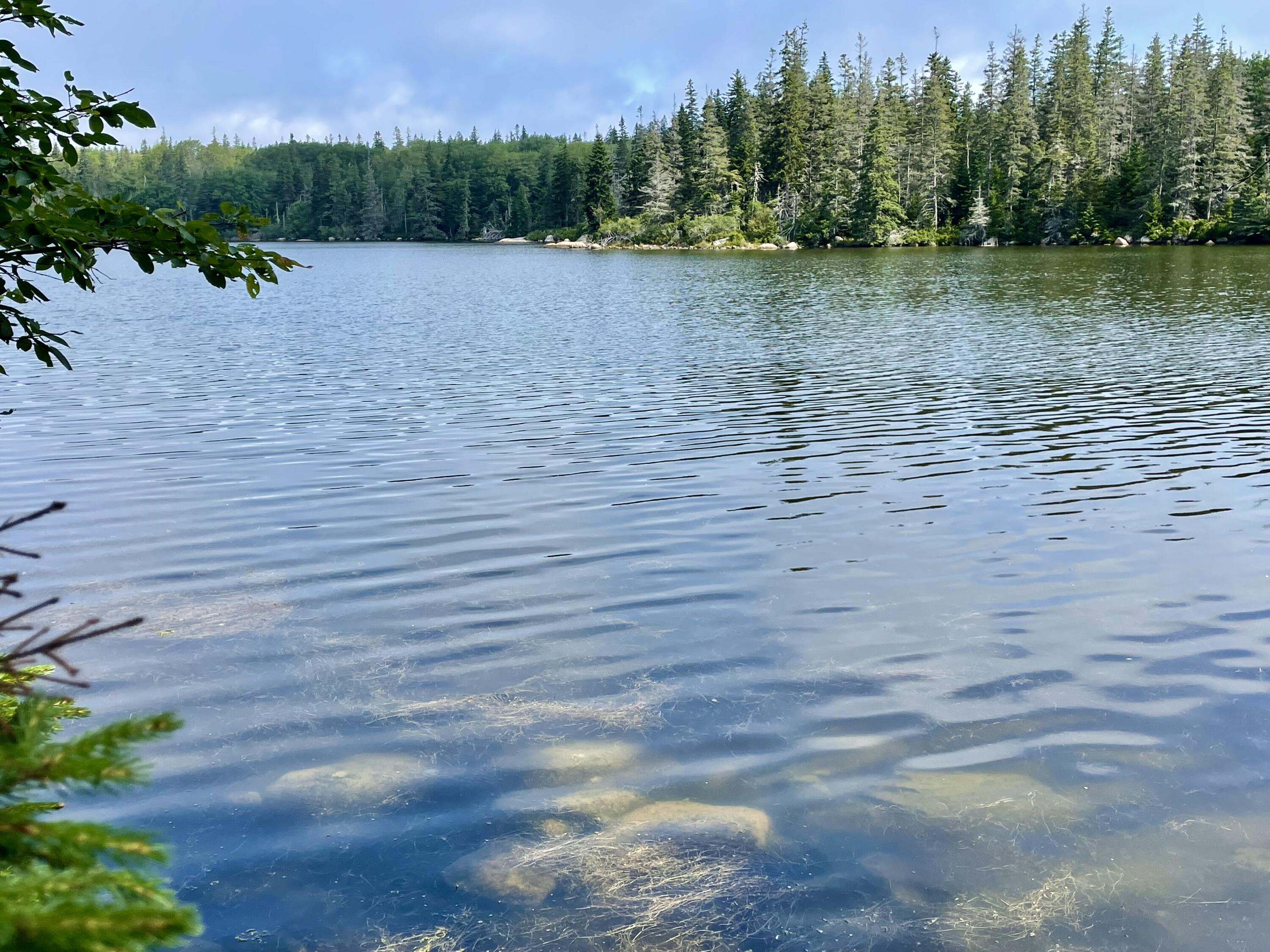 A Old Harbor Road Vinalhaven, ME 04863 - Photo 4 of 16 BEA340E7-B14E-417C-951F-026F18395F06_1_2