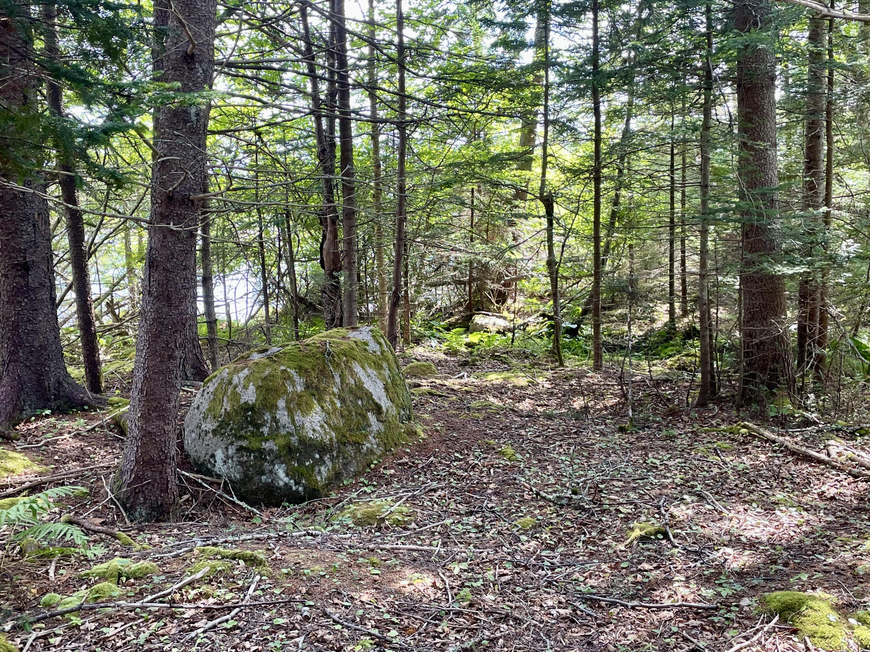A Old Harbor Road Vinalhaven, ME 04863 - Photo 7 of 12 770225F7-CFA8-4803-A06E-EA96325D72F1_1_2