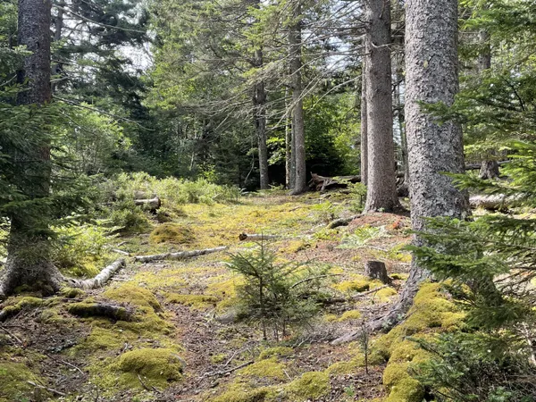 $115,000 | A Old Harbor Road, Vinalhaven, ME 04863