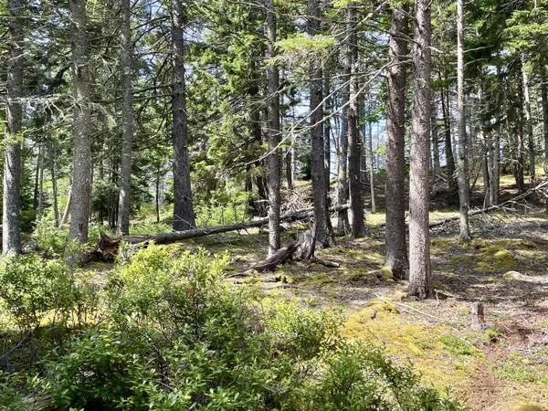 $115,000 | A Old Harbor Road, Vinalhaven, ME 04863