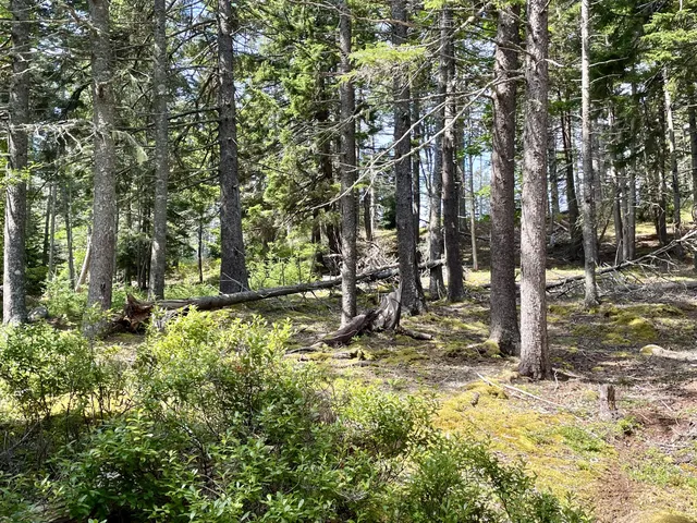 $115,000 | A Old Harbor Road, Vinalhaven, ME 04863