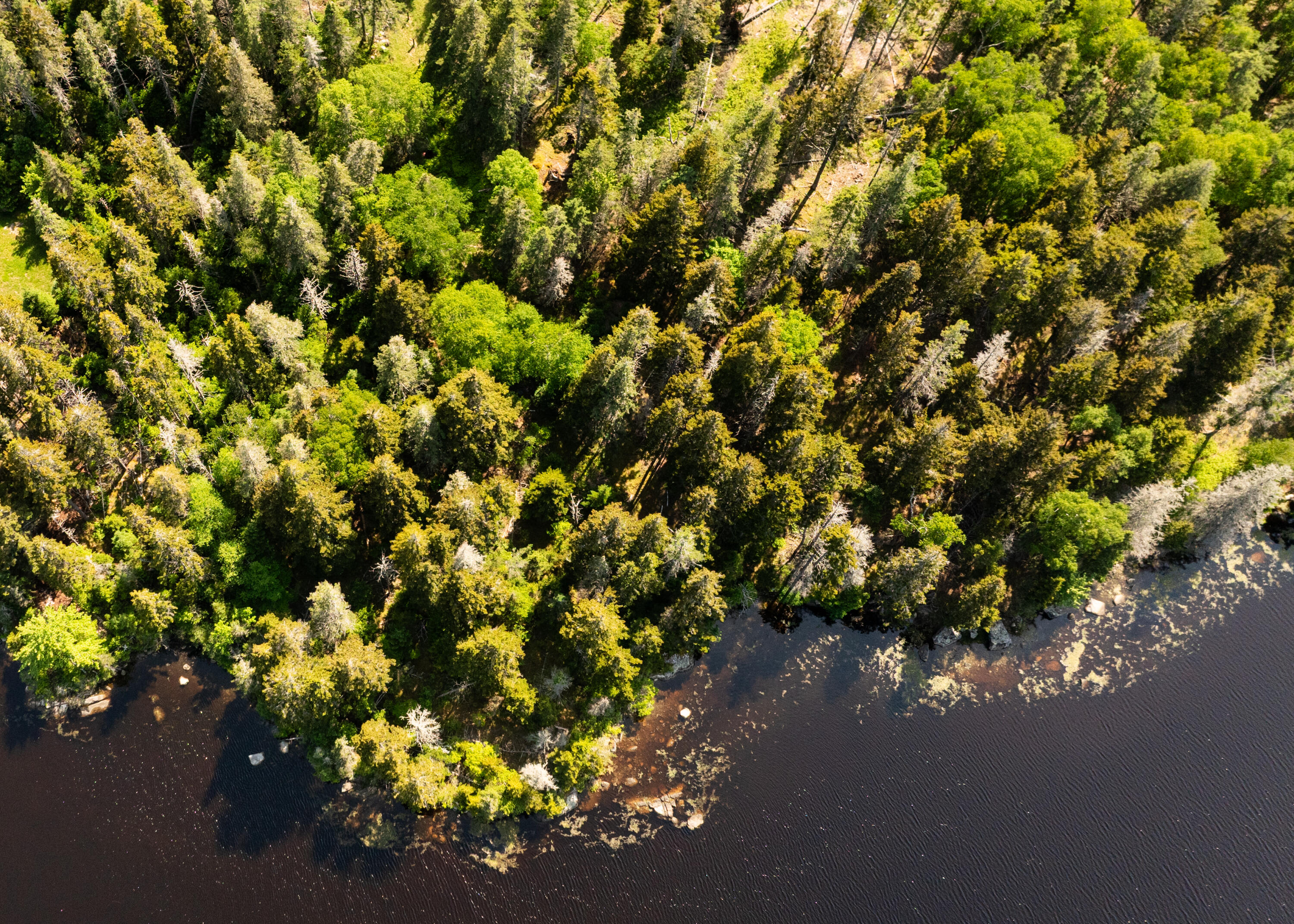 A Old Harbor Road Vinalhaven, ME 04863 - Photo 10 of 16 DJI_0888