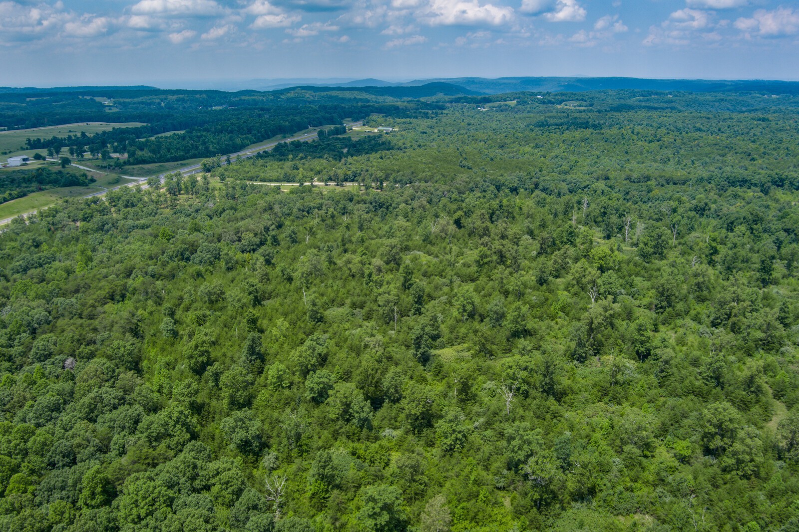 0 Golden Pointe Road Spencer, TN 38585 - Photo 11 of 18 Gallery Image 11
